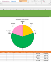 Load image into Gallery viewer, Starter Client Tracker Spreadsheet