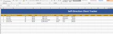 Load image into Gallery viewer, Basic Client Tracker Spreadsheet