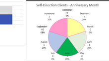 Load image into Gallery viewer, Advanced Client Tracker Spreadsheet